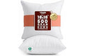 Utopia Bedding 18x18 Pillow Inserts, Set of 2, White – Indoor Decorative Throw Pillows for Bed, Sofa & Couch – Soft, Supporti