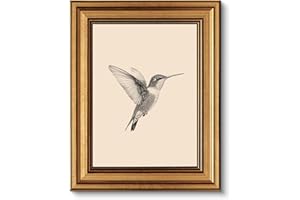 VIYYIEA Vintage Gold Framed Wall Art, Sketch Birds Canvas Painting, Cute but Exquisite Wall Decor, No Glass No Glare, Suitabl