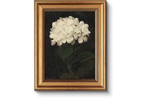 HUARCEY Gold Framed Vintage Wall Art for Living Room, Flowers Painting Canvas Prints Shelf Decor for Kitchen, Aesthetic Bedro